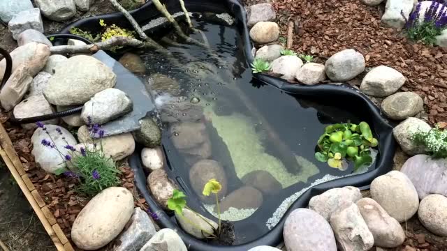 弄几个这样的室外龟池也不错哈 别墅花园参考模板