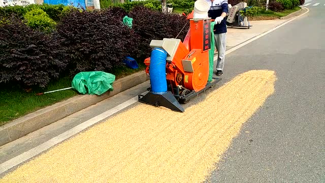 秀丰牌晒场收谷机(收谷机)把摊晒的谷子(小麦等)快速装袋