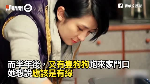 善良的正妹，靠卖菜救了200多只流浪狗