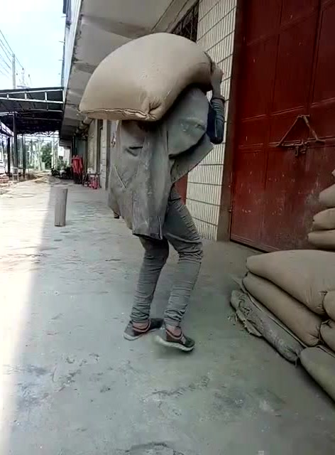 90后工地背水泥妹子的日常工作,看着都累!