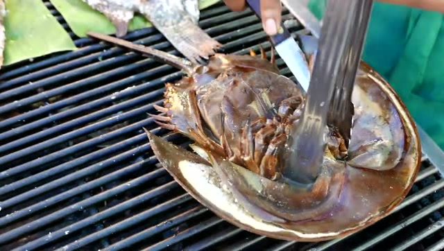 泰国鲎蛋,看的我鸡皮疙瘩都犯了!