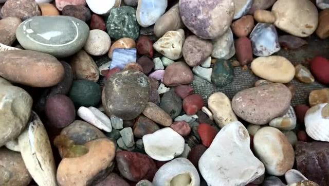 海滩上捡回一筐小石头,仔细挑选后,发现有不少好东西