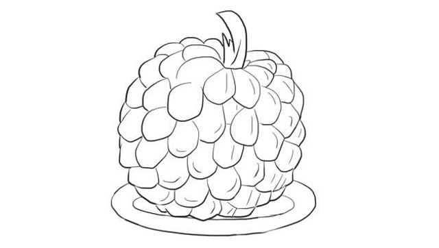 释迦果儿童亲子简笔画