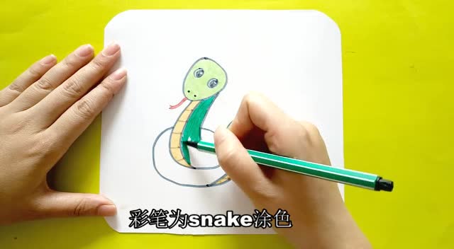 杨桃妈妈英语启蒙简笔画动物snake蛇