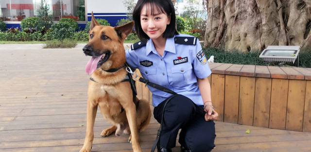 《警犬来啦》梁粤被确定有传染艾滋病的可能性,木棉超担心