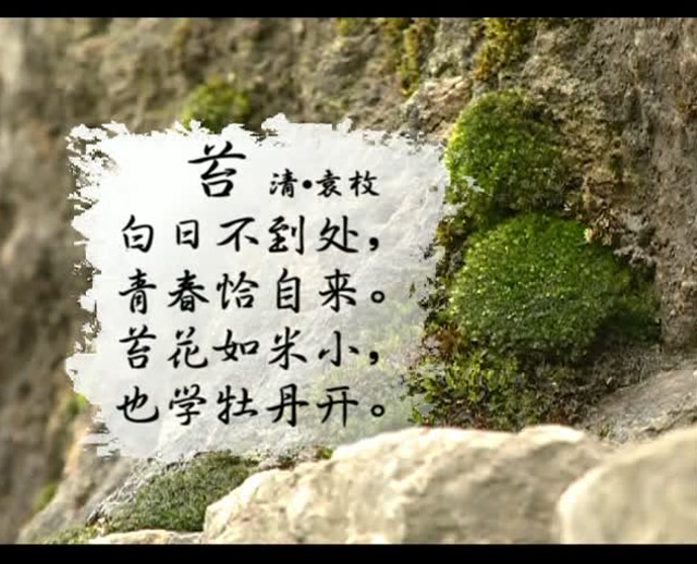 诗词日历 《苔》327