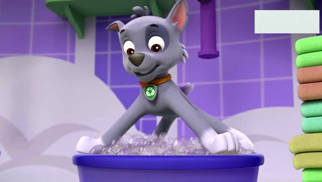 汪汪队立大功1:参加选美的灰灰