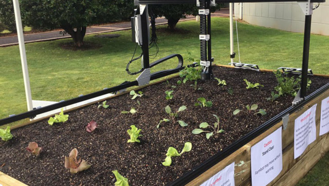 像玩游戏一样种菜!手机远程就能操控,机器人自动播种浇水除草
