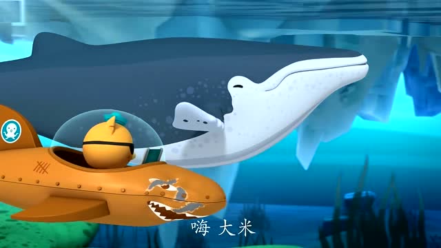 海底小纵队;呱唧又要座头鲸来帮助他们了