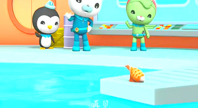 在小军队的不懈努力下找到了鸡心螺:海底小纵队