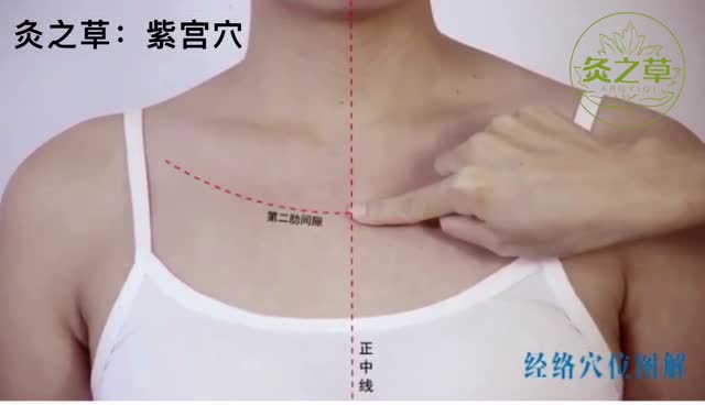 灸之草:紫宫穴