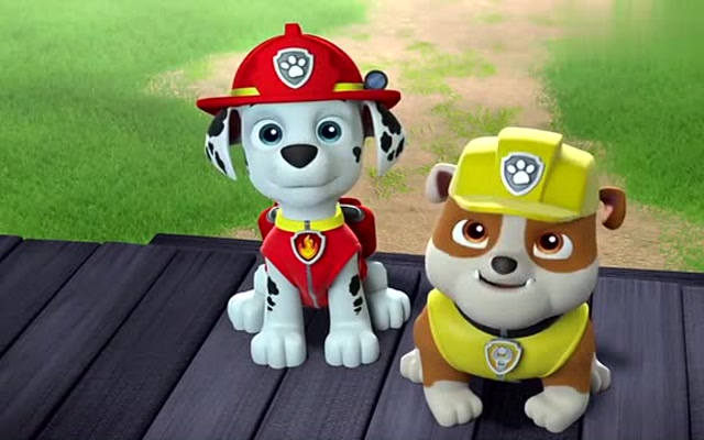 汪汪队立大功全集:毛毛和小砾把小浣熊当成怪兽,此时吓得不敢靠近