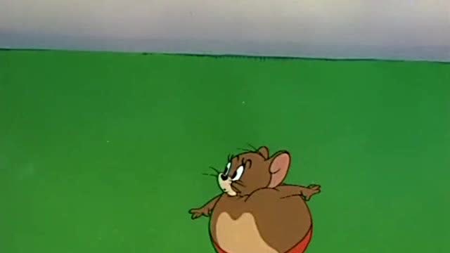 猫和老鼠:喜欢看到杰瑞圆滚滚的样子,超级可爱!