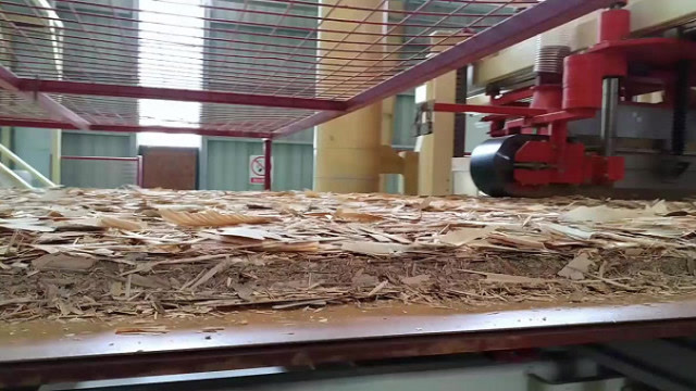 压木板是这样生产出来的,实拍流水线加工过程,你见过吗?