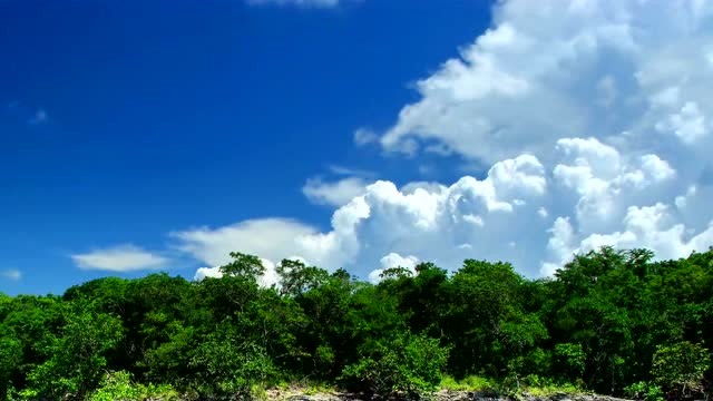 多么富有三亚风格的大自然风景区哦,真的好美呀!