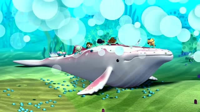 海底小纵队;好棒!座头鲸安全的降落在珊瑚礁旁边