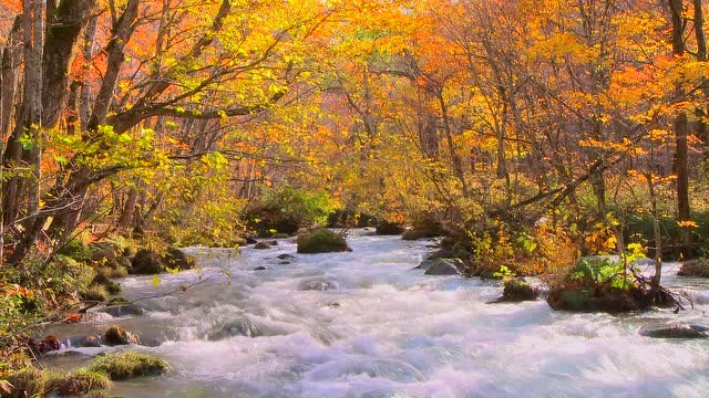 最富有诗情画意的景色,人间仙境,如诗如画,实在是太迷人了!