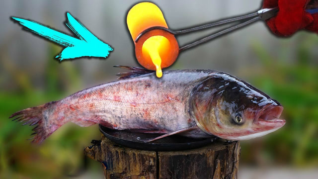 熔岩新玩法,将800度熔岩倒在鱼身上,会怎样?