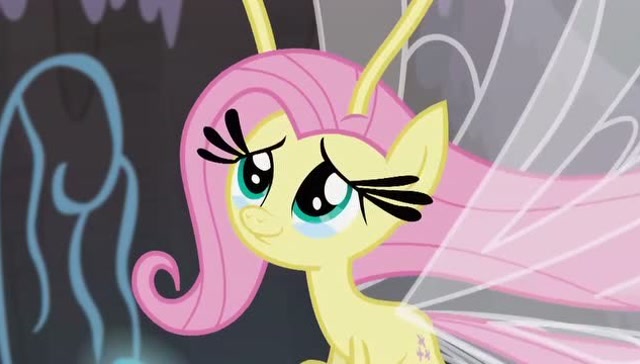 小马们把布里兹们安全送了回家,柔柔真是太高兴了