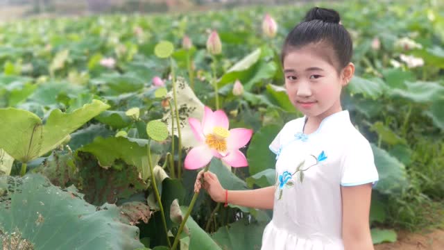 霞浦县第三小学 暑假实践活动 江雨萱