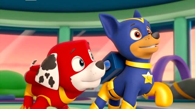 汪汪队立大功:毛毛和阿奇准备救援,灰灰解救小兔子