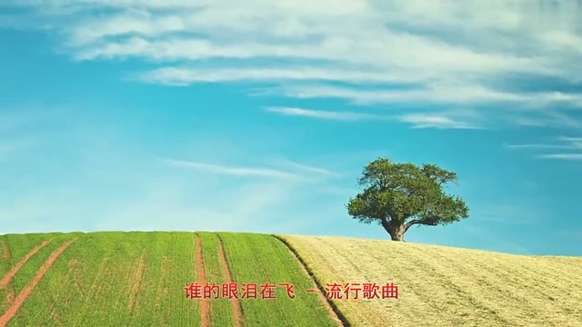 一首經典流行歌曲《誰的眼淚在飛》,一聽就回味!