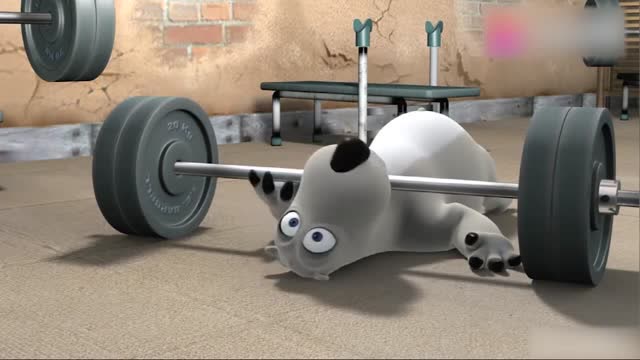倒霉熊!倒霉熊健身房里健身,笨笨的样子真是又可爱又搞笑!