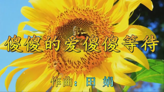 贺一航一首情歌,为了爱,你我何尝不是《傻傻的爱傻傻等待》