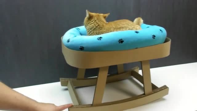 纸板给小猫咪制作了一个摇摇床,喵星人上去就不想下来了
