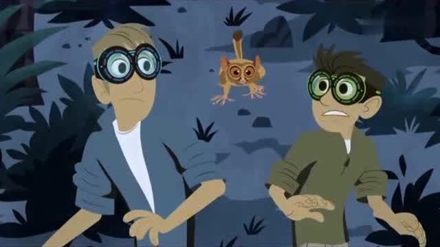 动物兄弟:克里斯和马丁寻找金鱼眼眼镜猴,眼镜猴快跑啊