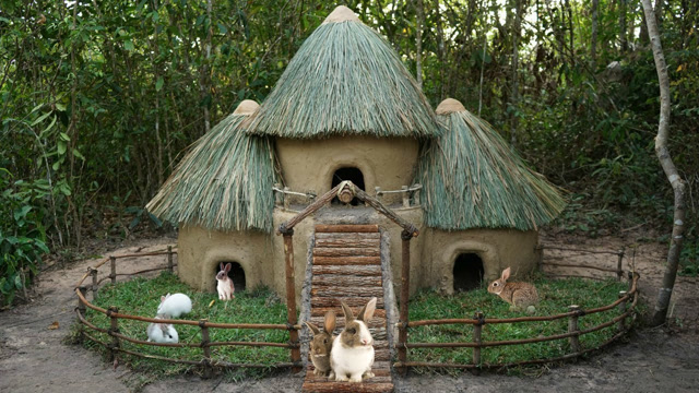 原始技术,户外给兔子建造小屋,放大版绝对是很好的庇护所!