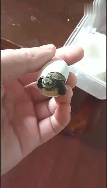 穿着雨靴配婚纱,妹子这一定是嫁给了真爱啊!