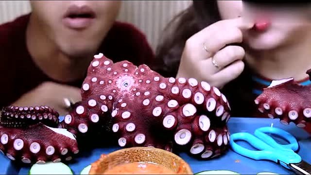 外国小夫妻俩,吃超大个的八爪鱼,肥美q弹,十分有嚼劲