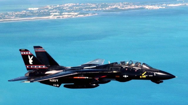 战机史上的孤独求败f14熊猫战机:因无敌寂寞而最终退役