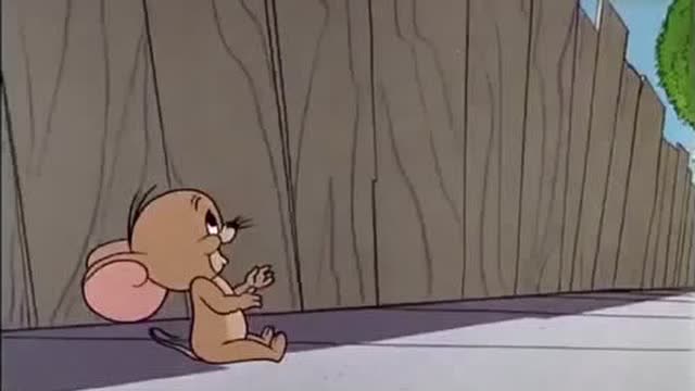 猫和老鼠之顶棚上的老鼠
