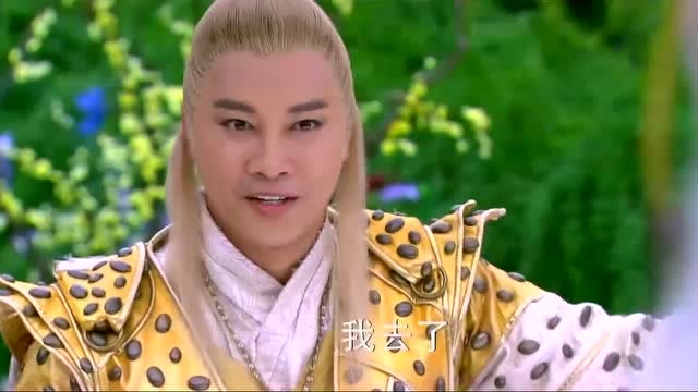 天天有喜:刘枫在砍伐千年古树,七公主生气的对刘枫下手