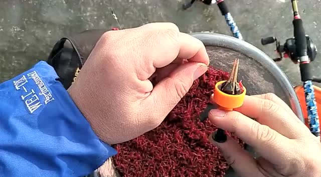 大爷亲手教学如何在冰面钓鱼时穿鱼饵,操作流畅,鱼饵也穿得好看