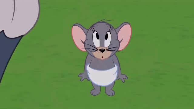 猫和老鼠:汤姆变成了功夫猫,这次连狗哥都不是它的对手了!