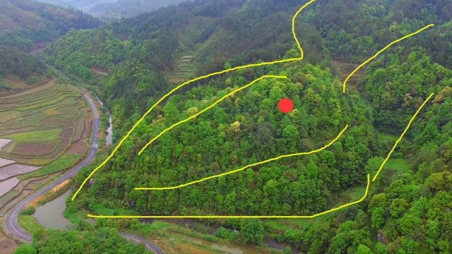 此山体地形独特,有龙脉有穴位,这是做墓地的绝佳风水宝地
