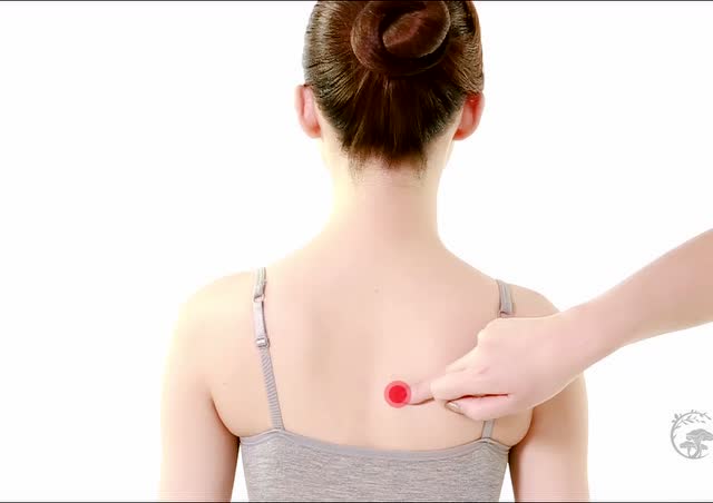 心俞穴视频解析