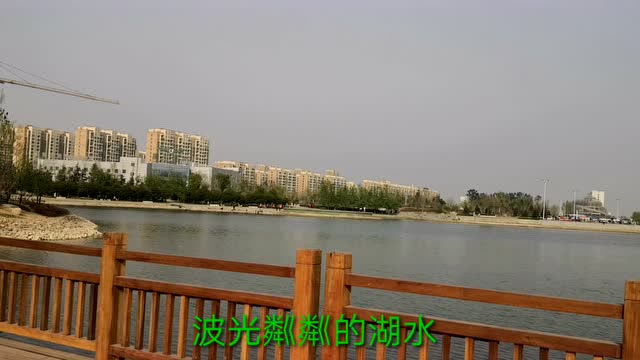 安阳礼湖公园图片