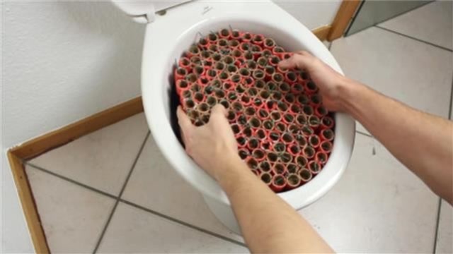 鞭炮炸马桶会怎么样?老外作死实验,看完把我恶心到了!
