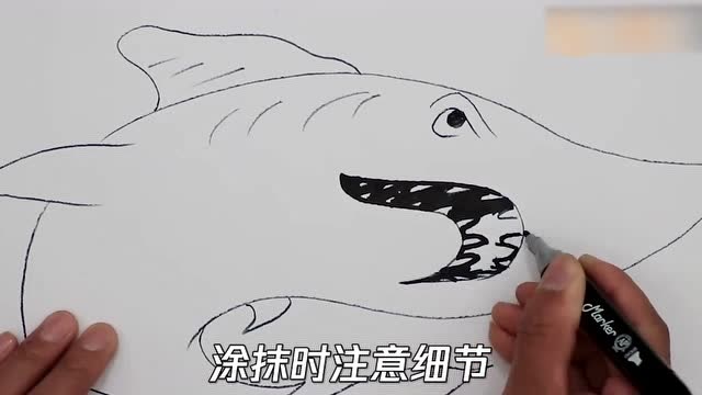大鲨鱼的简笔画怎么画