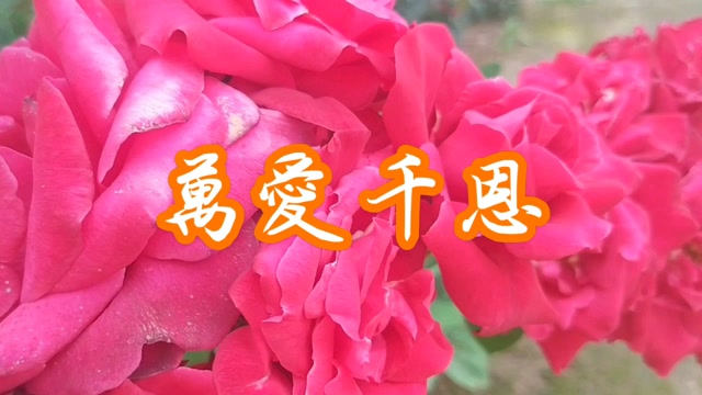 万爱千恩 王正鑫