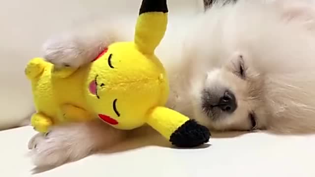 汪星人抱着皮卡丘睡觉,双倍份的可爱!