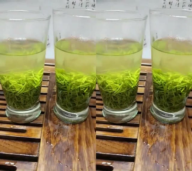 毛尖绿茶三种不同的毛尖茶冲泡出来,你更喜欢哪一种