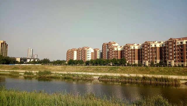 天津南河镇图片