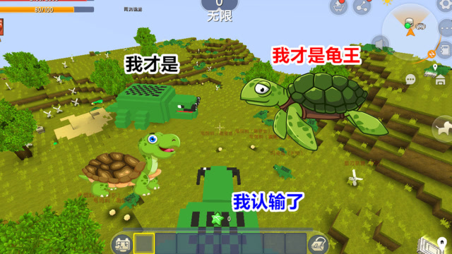 迷你世界:大乌龟吃小乌龟,与小表弟决战,没想到他竟然是龟王