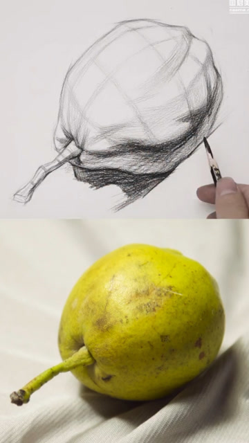 在线学画画素描静物结构鸭梨素描