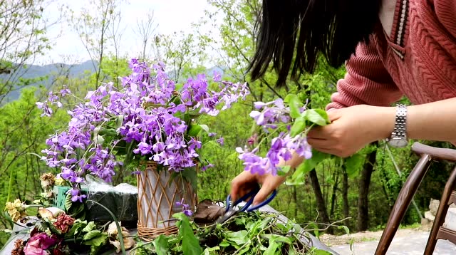 农村美女随手采了一把野花,回家插出一个漂亮的花篮,农村真比城里好多